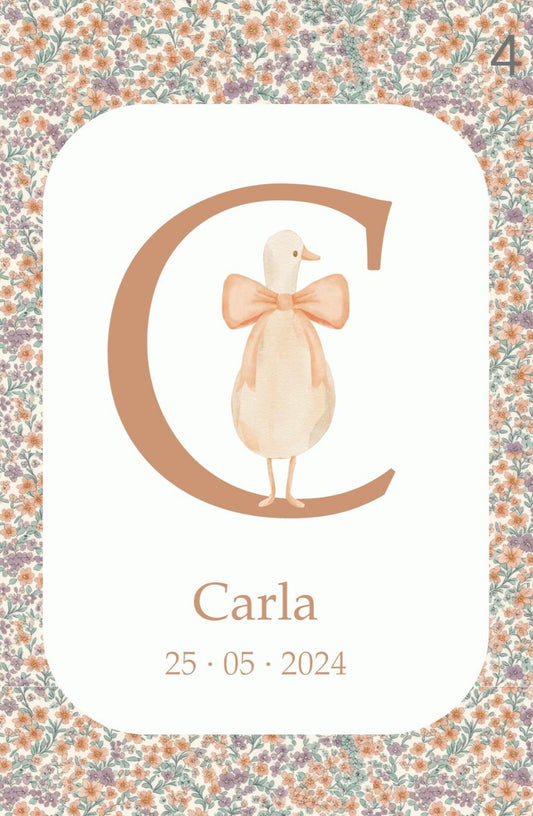 Lámina personalizada